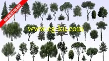 Evermotion – Textures4ever vol.8 – Trees的图片1