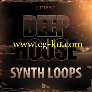 Little Bit Deep House Synth Loops (WAV)的图片1