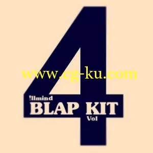 !llmind Blap Kit Vol.4 (WAV)的图片1