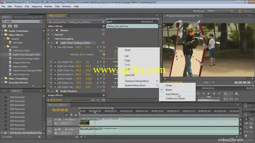 Video2brain – Compositing in Premiere Pro的图片3