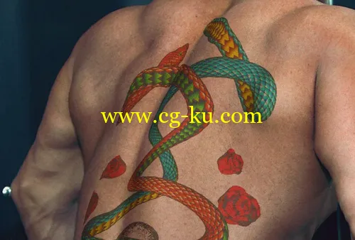 cinema4dtutorial.net – 3d tattoo transformation的图片1