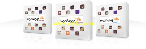 Cast wysiwyg r32的图片1