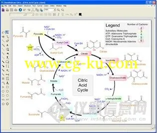 PerkinElmer ChemBioDraw Ultra 14.0.0 MacOSX 化学结构绘制工具的图片3