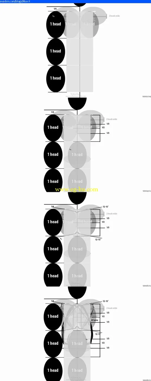 SkillFeed – Figure Study – Drawing Torsos, Arms and Legs Using Photoshop的图片2