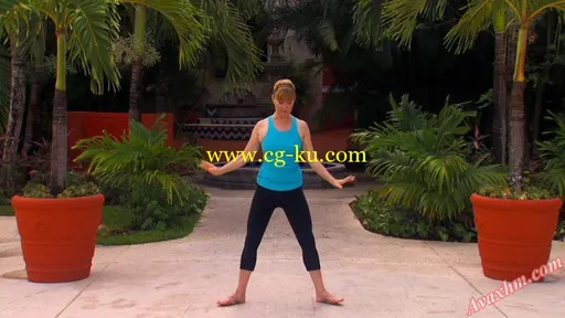 Classical Stretch The Esmonde Technique Season 9, Weight Loss and Pain Relief Series Episodes1-30的图片3