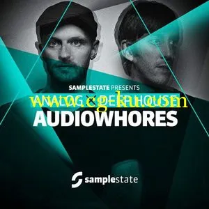 Sample State Audiowhores Analogue Deep House [WAV/REX]的图片1