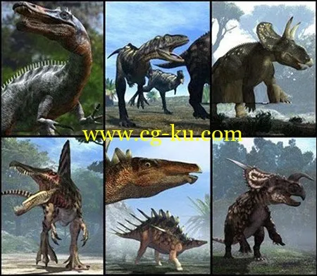 3D Models with Rig的图片1