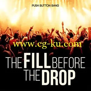 Push Button Bang The Fill Before The Drop WAV的图片1