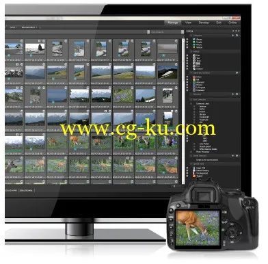 ACDSee Pro 6.3 Build 221 x86/x64的图片3