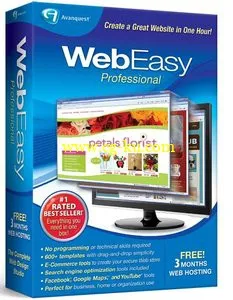 Avanquest WebEasy Professional 10.2.3.407的图片1