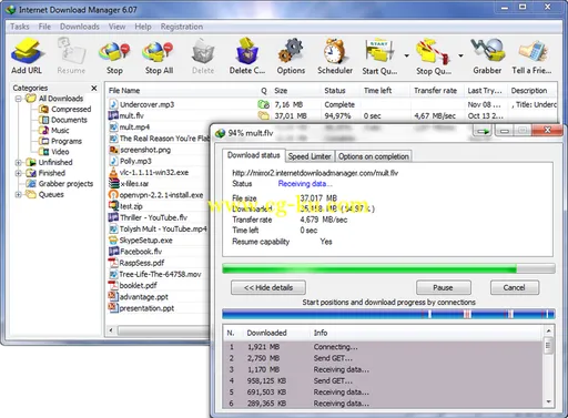 Internet Download Manager 6.17 Build 3 IDM下载工具的图片2