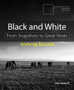 Peachpit – Black and White From Snapshots to Great Shots的图片1
