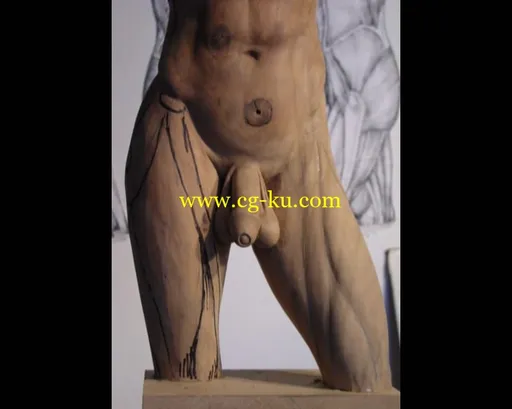 Carving the Male Torso的图片2