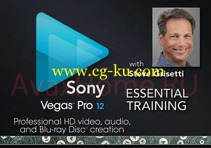 Sony Vegas Pro 12 入门至高级教程 Sony Vegas Pro Essential Training的图片1