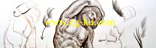 New Masters Academy – Hatching and Sketching Techniques的图片1