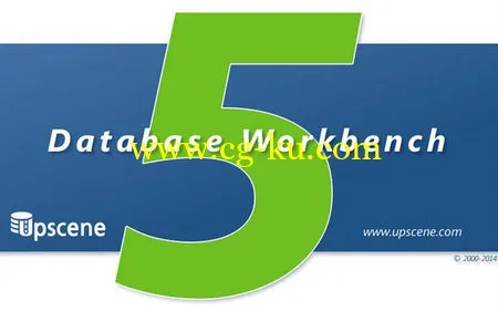 Database Workbench Pro 5.1.12.64的图片1