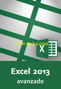 Microsoft Excel 2013 avanzado的图片1