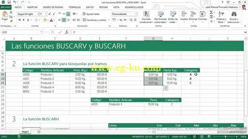 Microsoft Excel 2013 avanzado的图片3