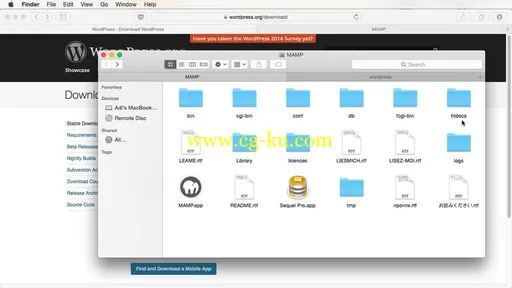 A Beginner’s Guide to Using WordPress with Adi Purdila的图片2