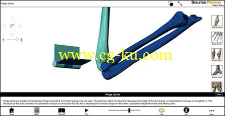 Visible Body Skeleton Premium v2.0.0 Win/MacOSX 3D可视化人体骨骼系统的图片1