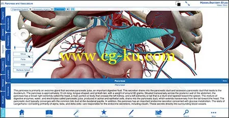 Visible Body Human Anatomy Atlas v3.0.1 Win/MacOSX 3D解剖系统的图片4