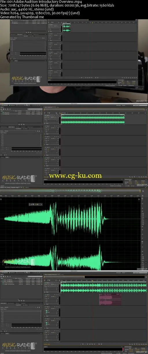 Adobe Audition CC Audio Production Course Basics to Expert的图片2
