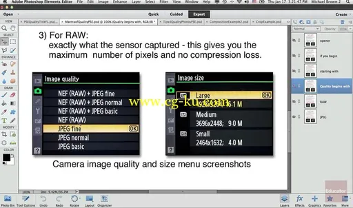Adobe认证教程之Photoshop Elements | Software Training: Adobe Photoshop Elements 11 with Michael Brown (Adobe Certified)的图片2