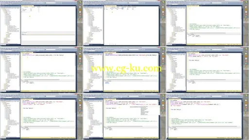 A 13 Hour SQL Server 2014 /ASP.NET/CSS/C#/JQuery Course的图片2