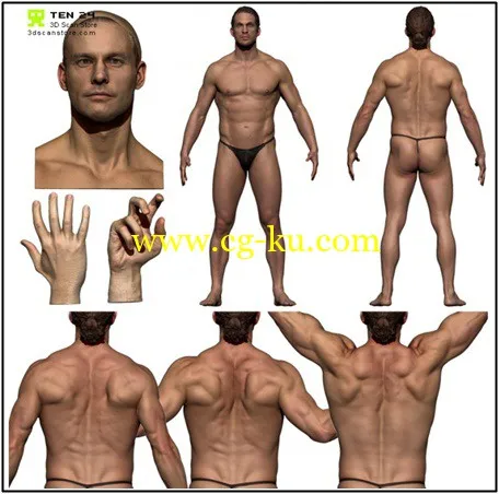 3D Scan Store Colour Male Anatomy Bundle 01的图片1