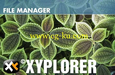 XYplorer 16.80.0000 Multilingual + Portable的图片1