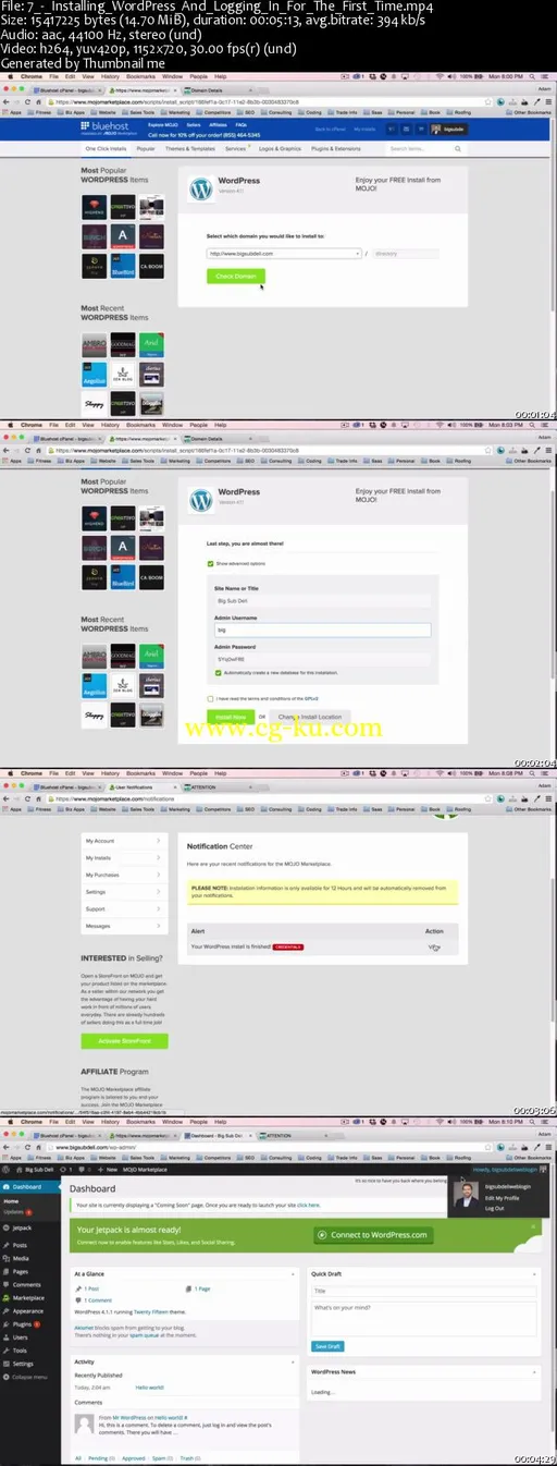 Learn To Set Up Your Own WordPress Website; Step By Step的图片1