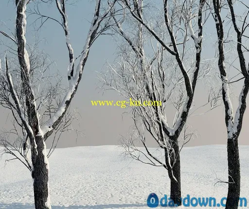冬天的树木模型 iTrees vol.3 Winter的图片4