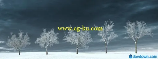 冬天的树木模型 iTrees vol.3 Winter的图片5