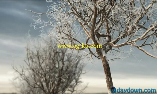 冬天的树木模型 iTrees vol.3 Winter的图片7