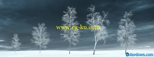 冬天的树木模型 iTrees vol.3 Winter的图片8