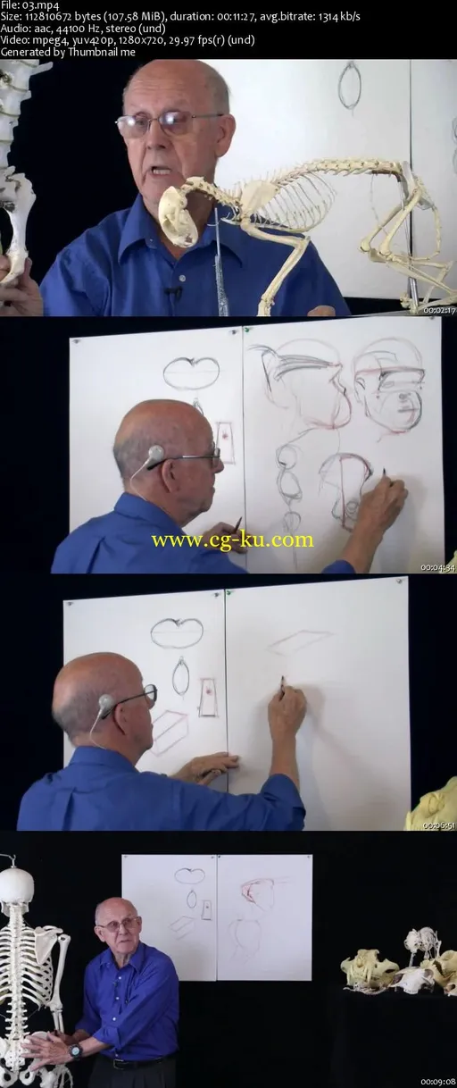 How to Draw Animals – G. Vilppu的图片2