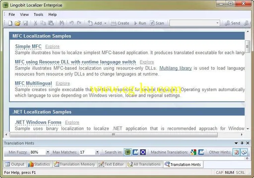 Lingobit Localizer Enterprise 9.0.8419.0 Multilingual的图片1