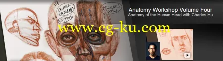 The Gnomon Workshop – Anatomy Workshop: Volume Four Anatomy of the Human Head的图片2