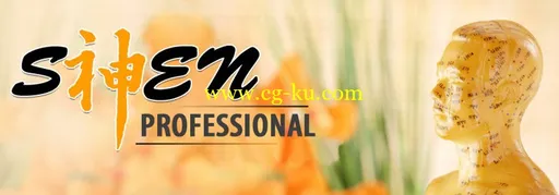Shen Professional 3.1的图片2