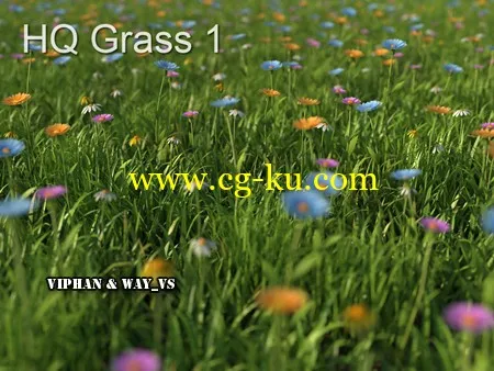 草和花3D模型 Mentor Plants HQ Grass 1 for 3ds max vray,mentalray的图片2