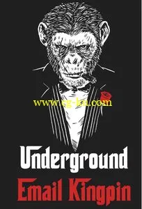 Underground Email Kingpin的图片1