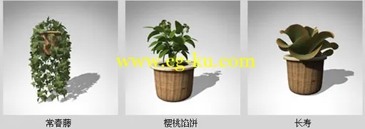 XfrogPlants- HOUSEPLANTS 室内盆栽模型的图片1