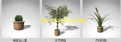 XfrogPlants- HOUSEPLANTS 室内盆栽模型的图片4