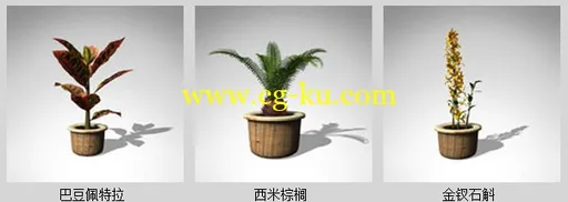 XfrogPlants- HOUSEPLANTS 室内盆栽模型的图片5