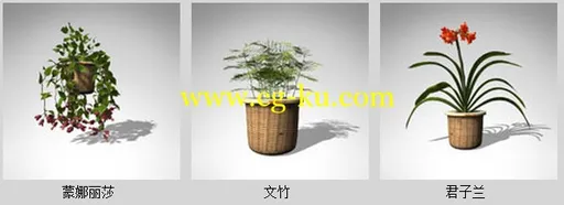 XfrogPlants- HOUSEPLANTS 室内盆栽模型的图片6