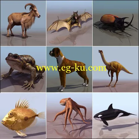 39 Animals Collection 3ds的图片1