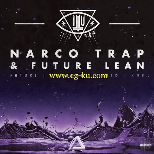 CAPSUN ProAudio iLLU Narco Trap and Future Lean MULTiFORMAT的图片1