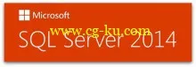 Microsoft SQL Server 2014 Web Edition with SP1 x64的图片1
