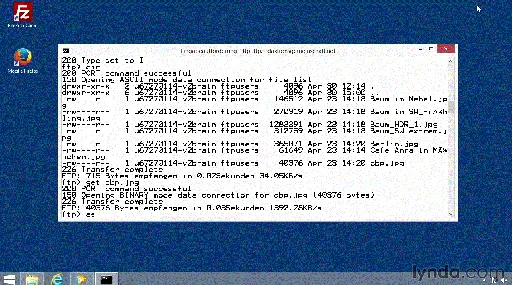 FTP verstehen und einsetzen Dateien und Inhalte sicher und schnell mit FTP übertragen的图片1