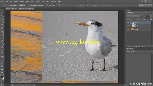 Video2brain – Creating Composites in Photoshop的图片2